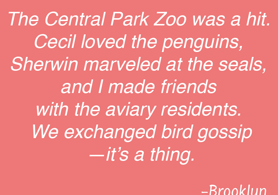 By Brooklyn 05/07/25