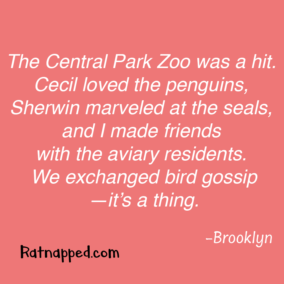 By Brooklyn 05/07/25