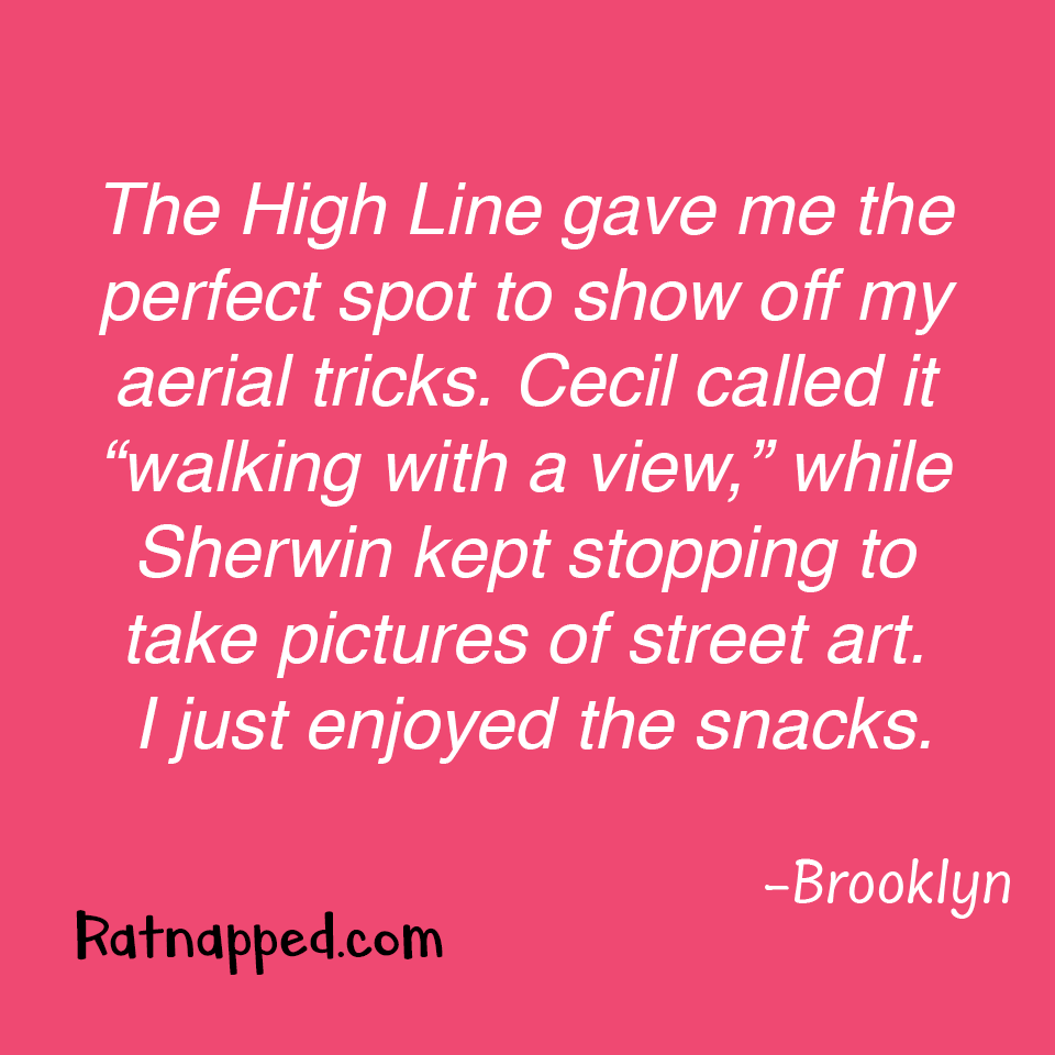 By Brooklyn 05/14/25