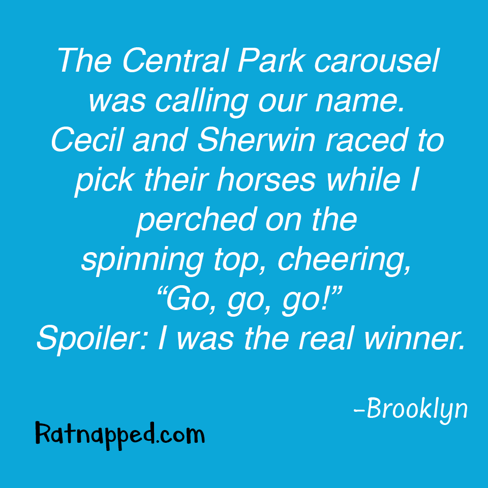 By Brooklyn 05/21/25