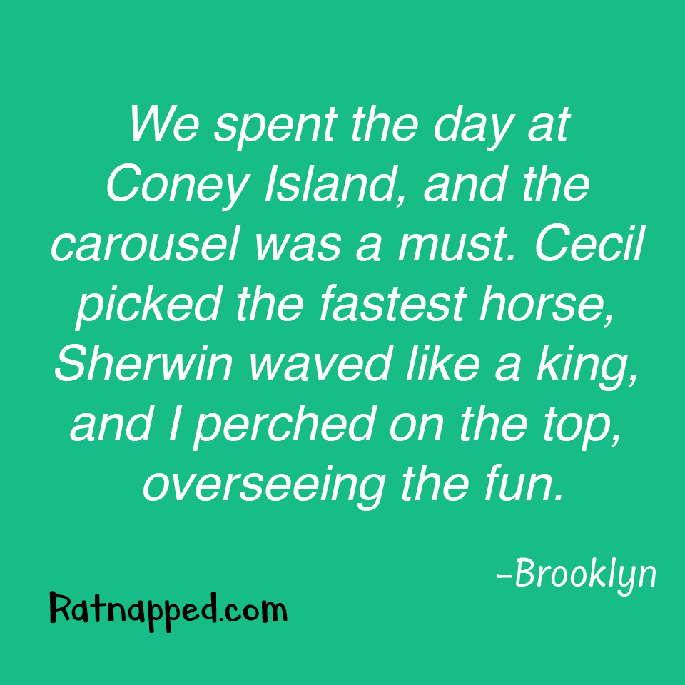 By Brooklyn 05/28/25