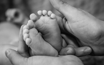 Leaving My Mark: How Ratnapped Reflects My Journey