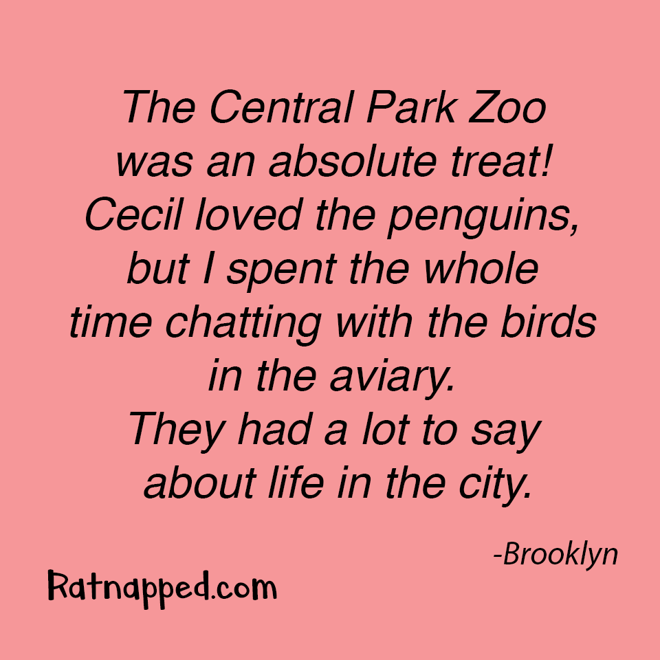 By Brooklyn 06/11/25