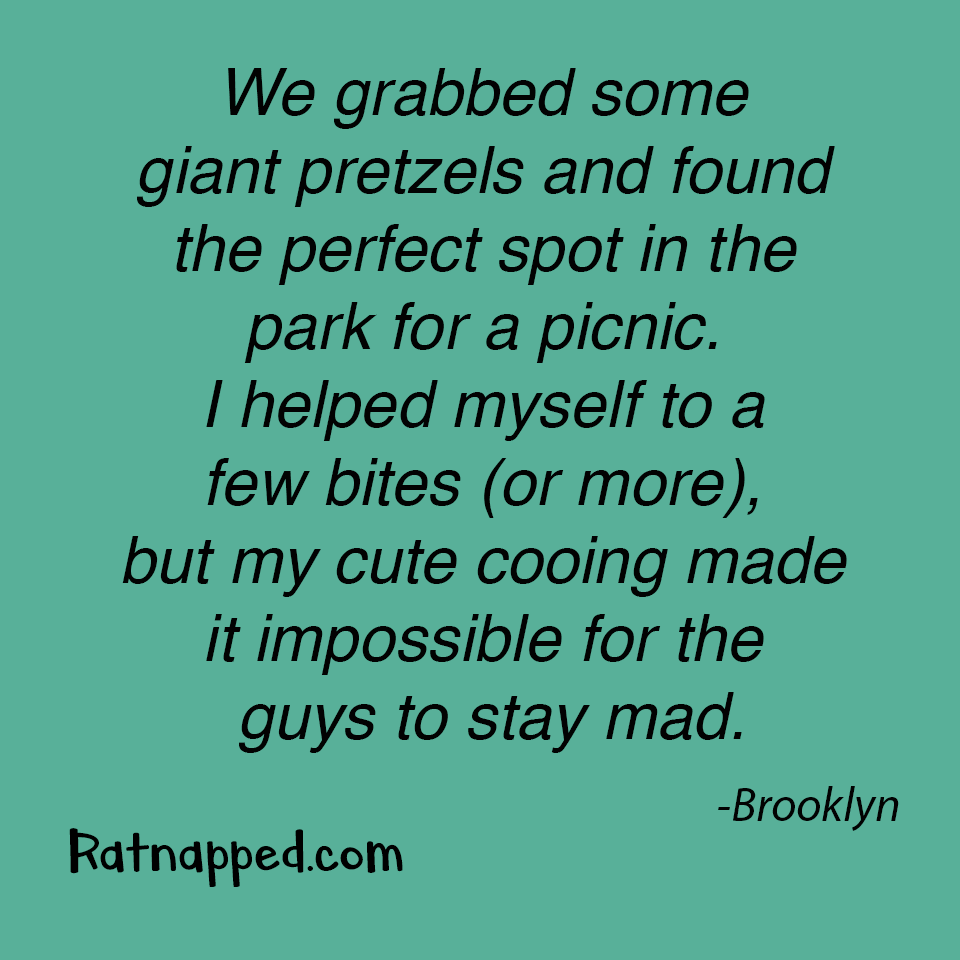 By Brooklyn 06/18/25