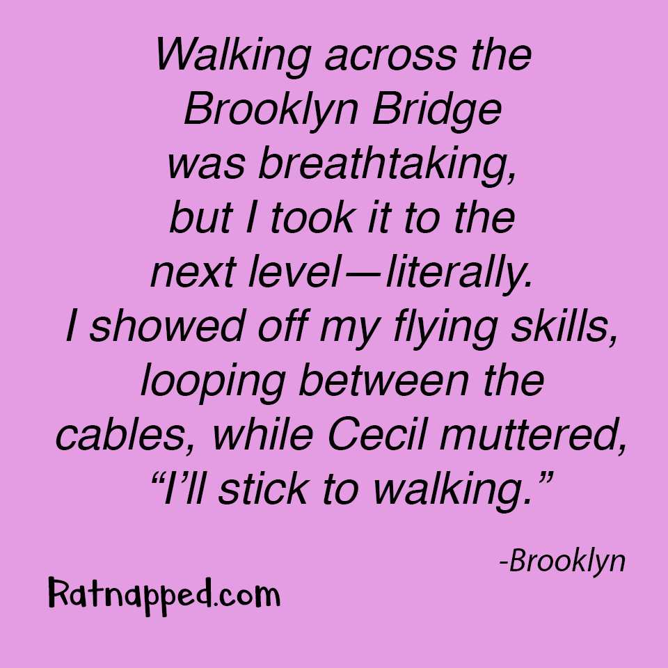 By Brooklyn 06/25/25