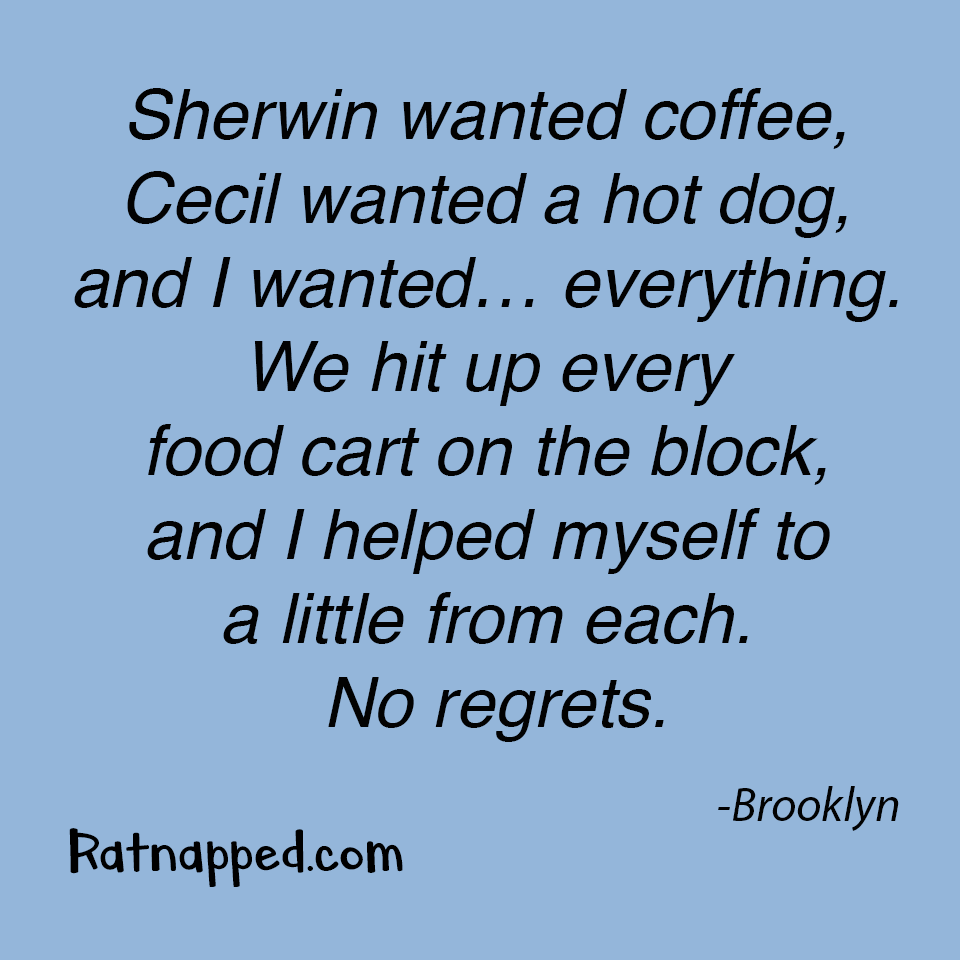 By Brooklyn 08/05/25