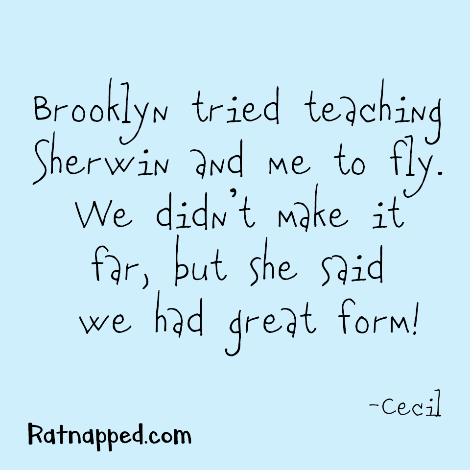 By Cecil – 02/02/26