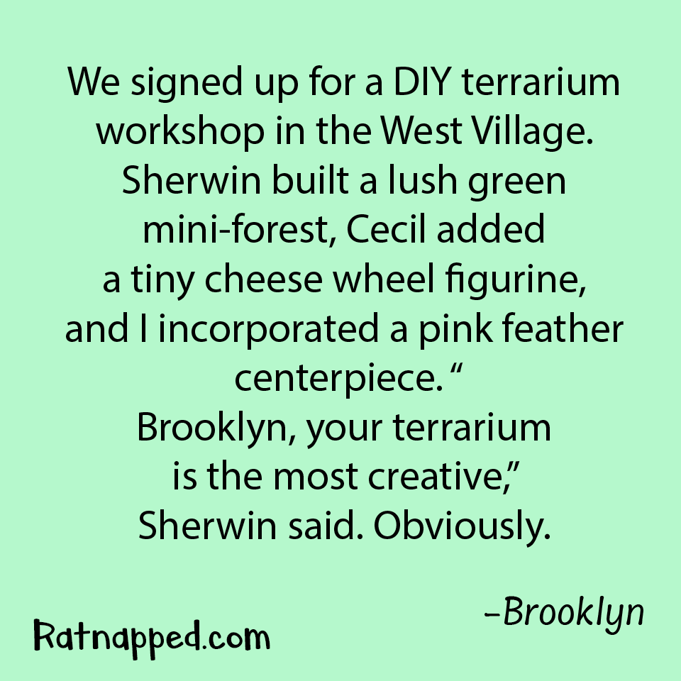 By Brooklyn 02/11/26