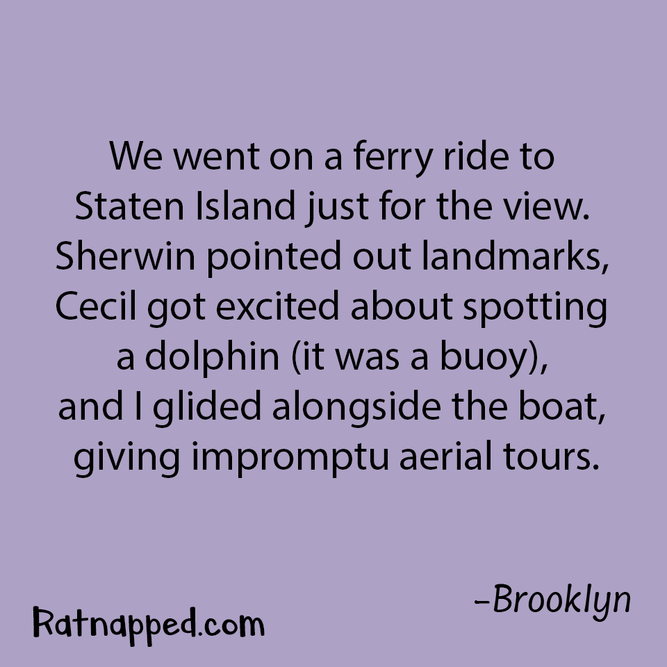 By Brooklyn 02/25/26