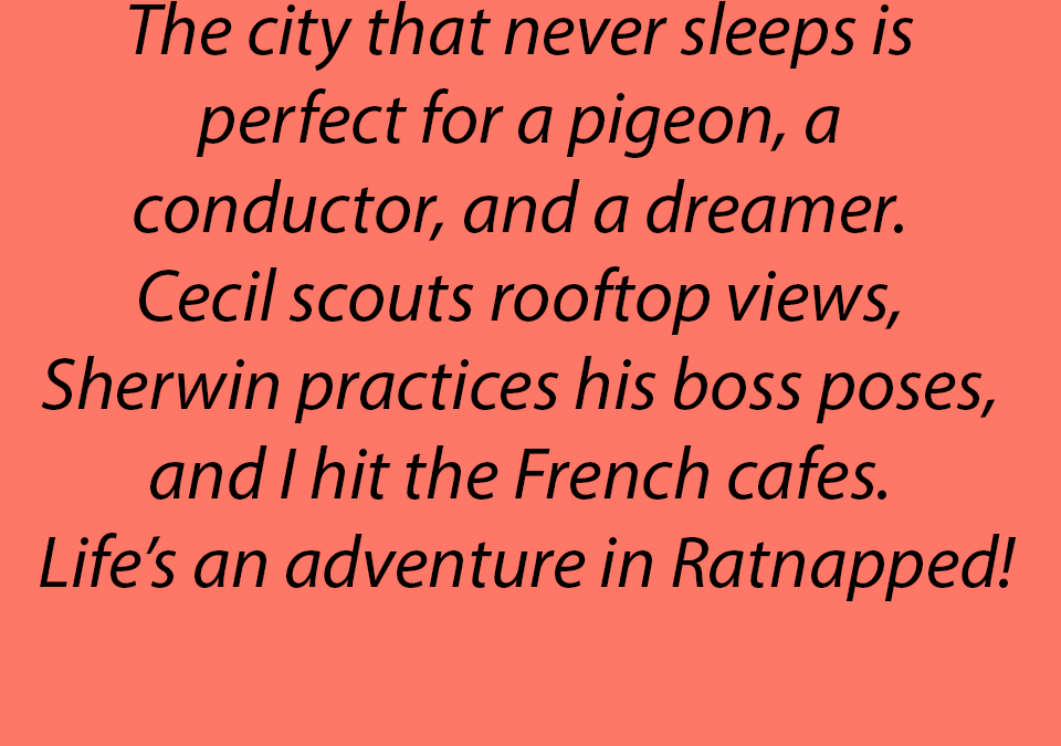 By Brooklyn 03/11/26