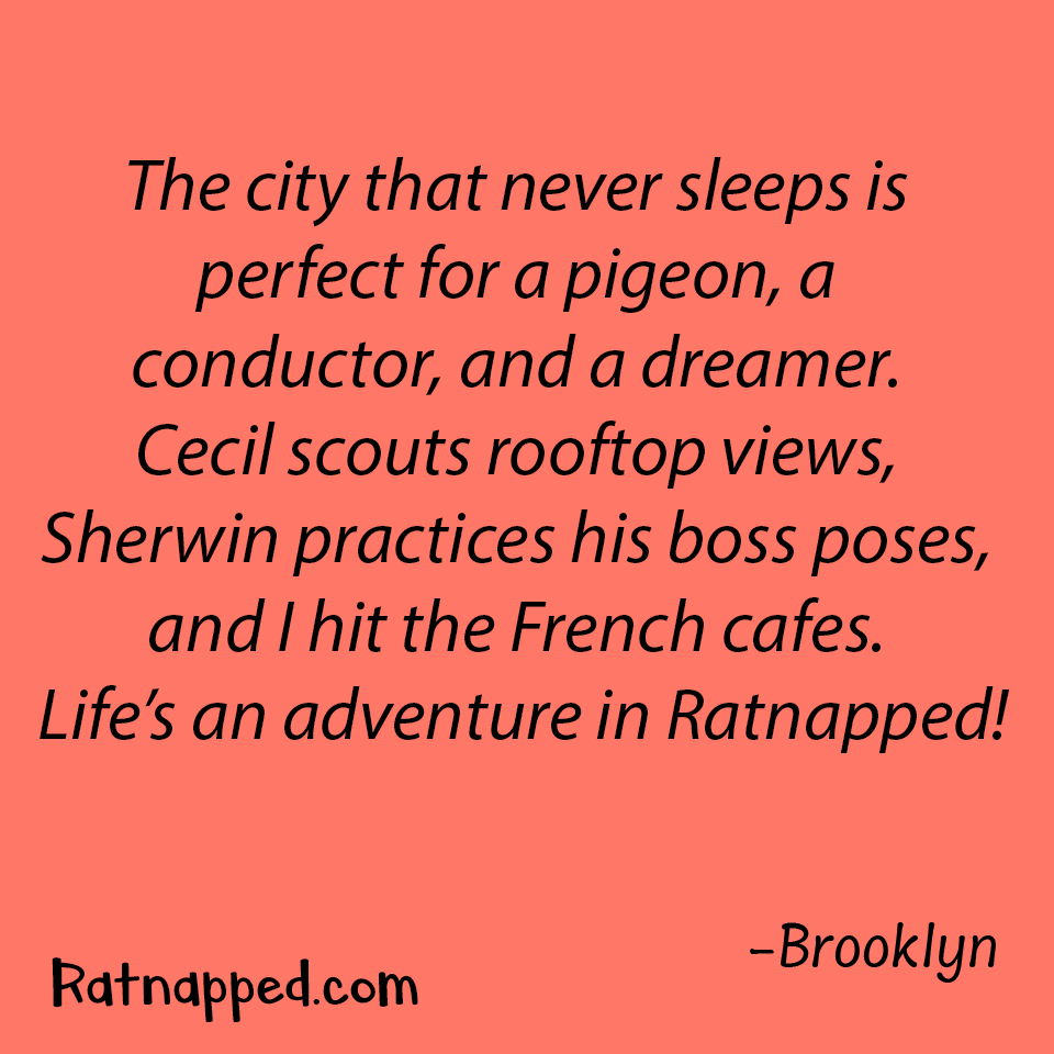 By Brooklyn 03/11/26