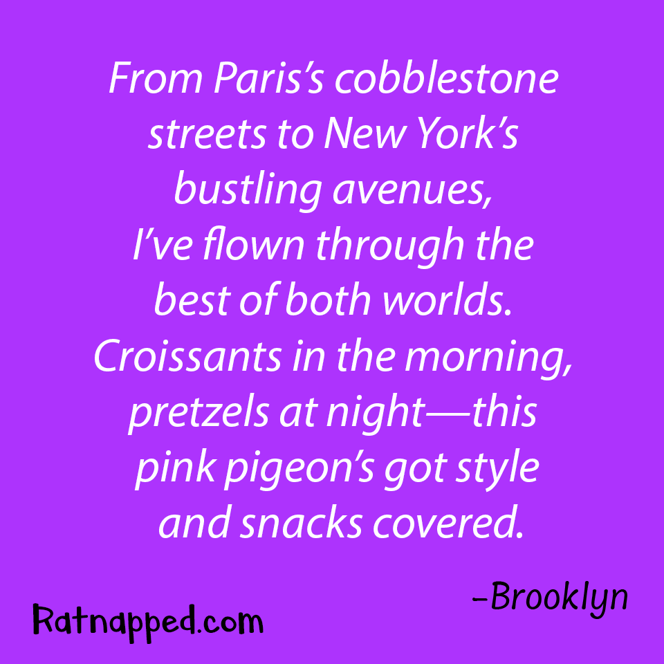 By Brooklyn 03/25/26